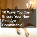 10 Ways You Can Ensure Your New Pets Are Comfortable