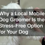 Why a Local Mobile Dog Groomer Is the Stress-Free Option for Your Dog