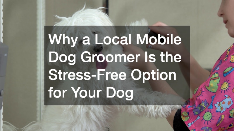 Why a Local Mobile Dog Groomer Is the Stress-Free Option for Your Dog