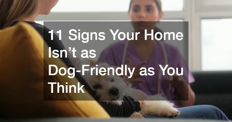 11 Signs Your Home Isn’t as Dog-Friendly as You Think